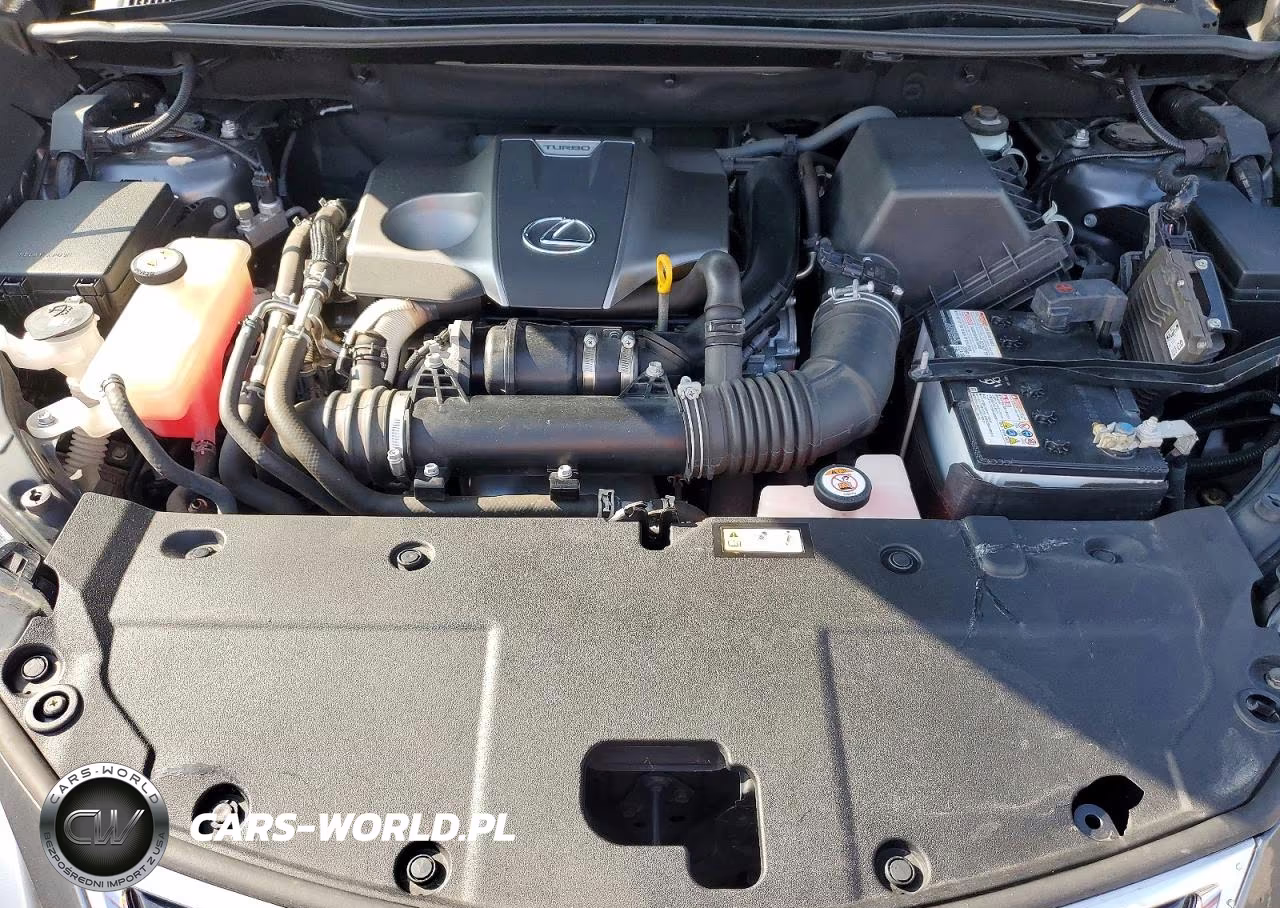 2020 Lexus Nx 300 VIN:JTJGARDZ5L2229272 - 12