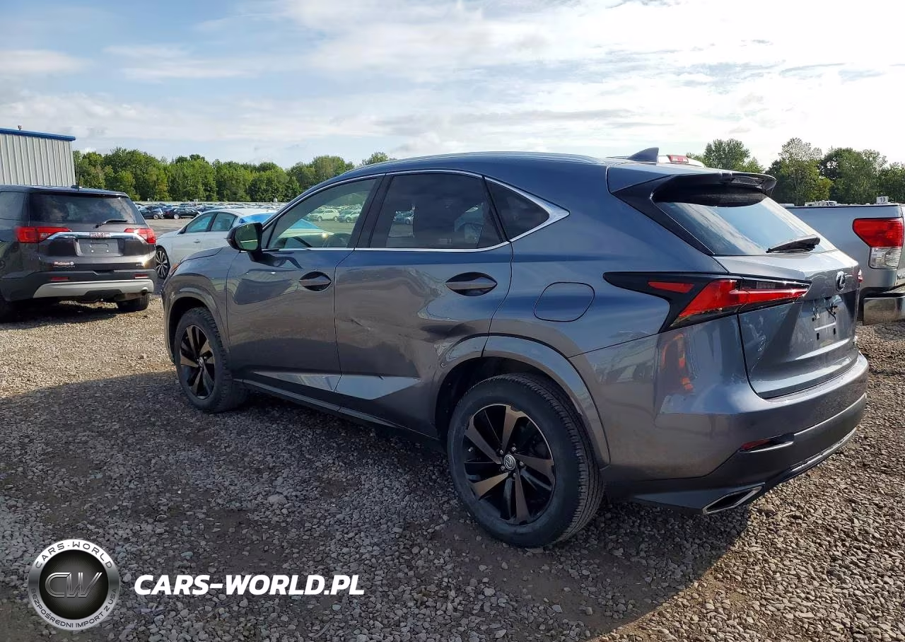 2020 Lexus Nx 300 VIN:JTJGARDZ5L2229272 - 2