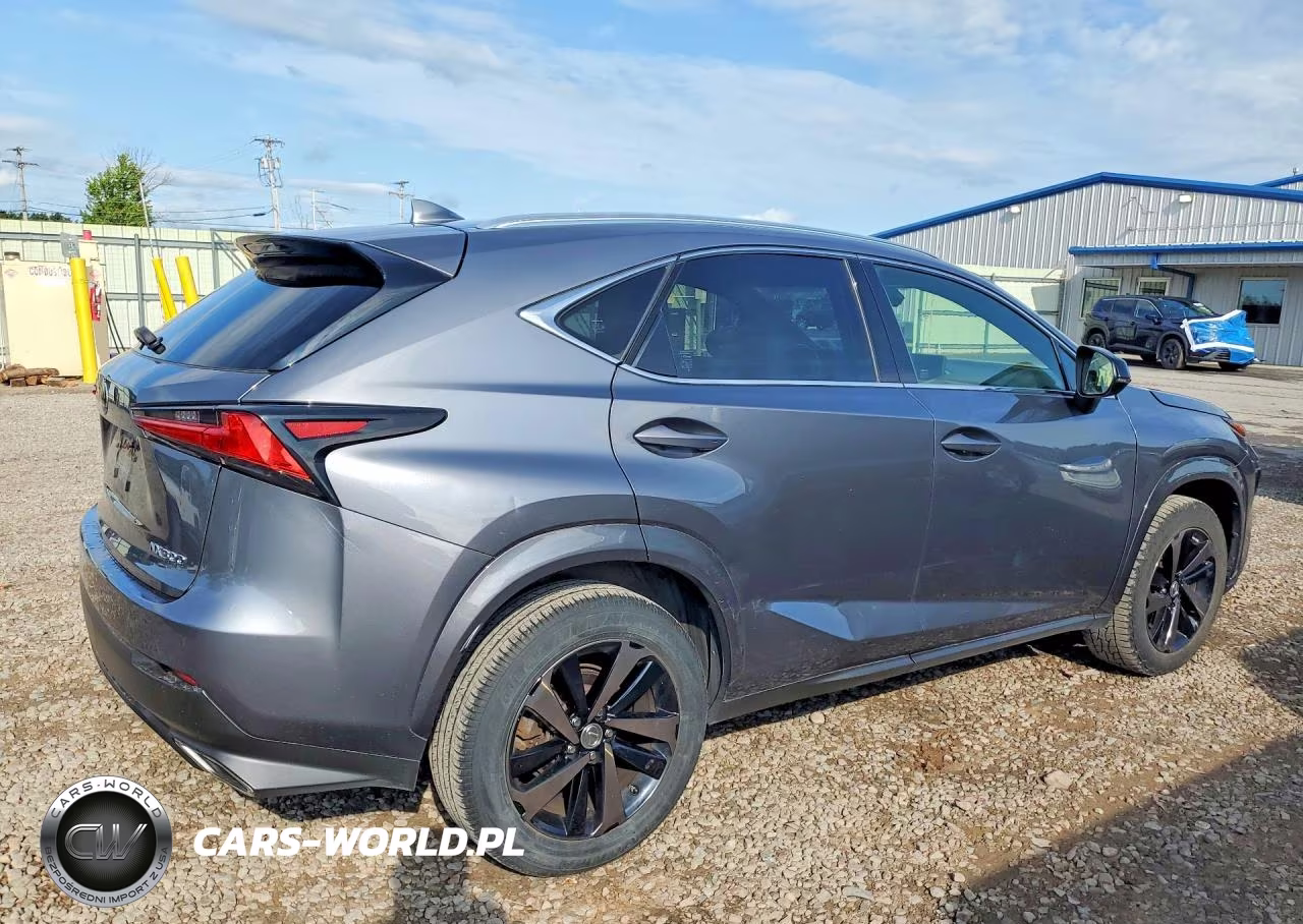 2020 Lexus Nx 300 VIN:JTJGARDZ5L2229272 - 3