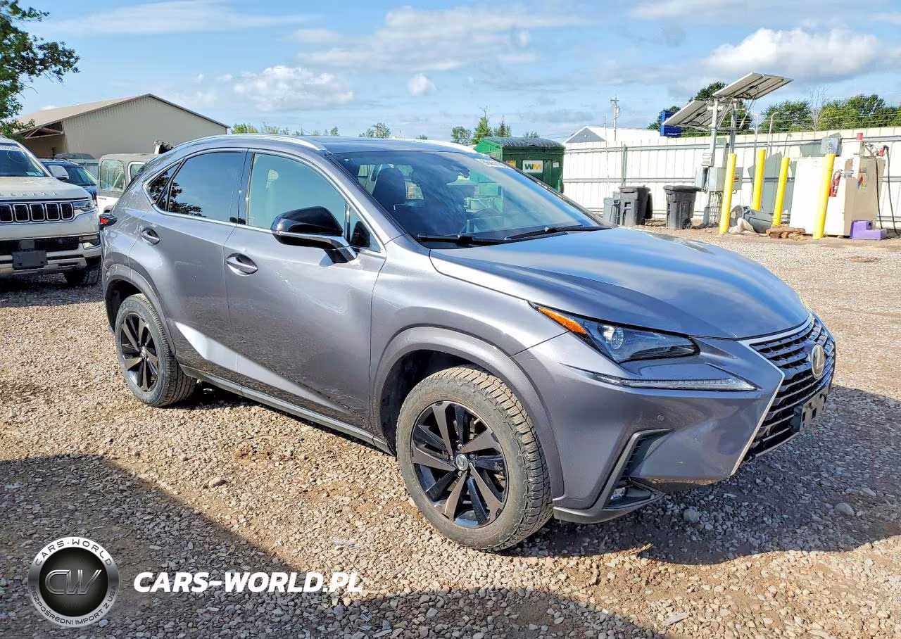 2020 Lexus Nx 300 VIN:JTJGARDZ5L2229272 - 4