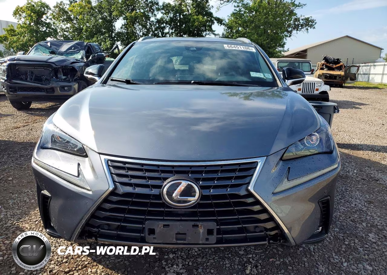 2020 Lexus Nx 300 VIN:JTJGARDZ5L2229272 - 5