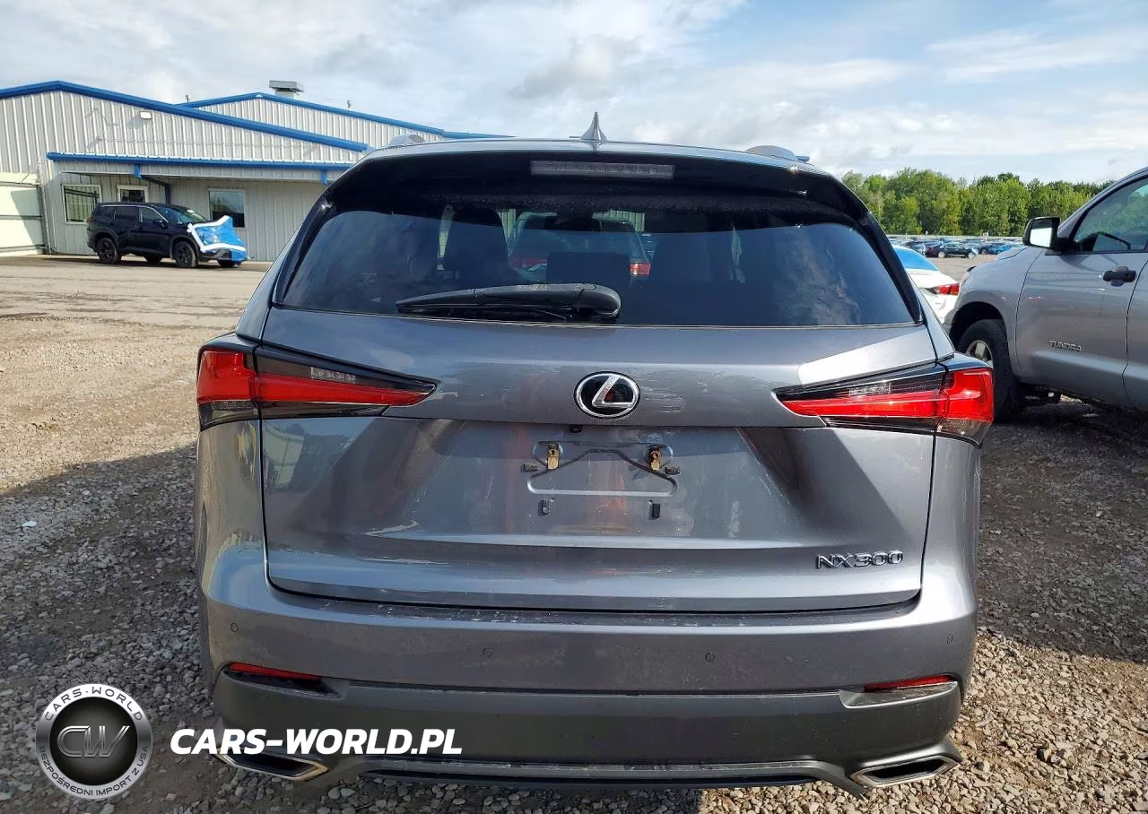 2020 Lexus Nx 300 VIN:JTJGARDZ5L2229272 - 6