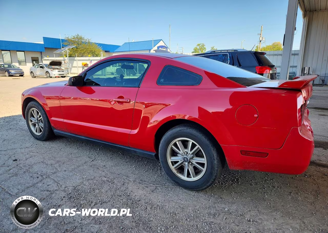 2005 Ford Mustang VIN:1ZVFT80N355250531 - 2