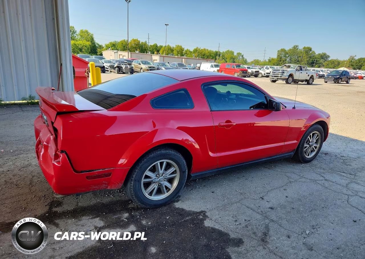 2005 Ford Mustang VIN:1ZVFT80N355250531 - 3