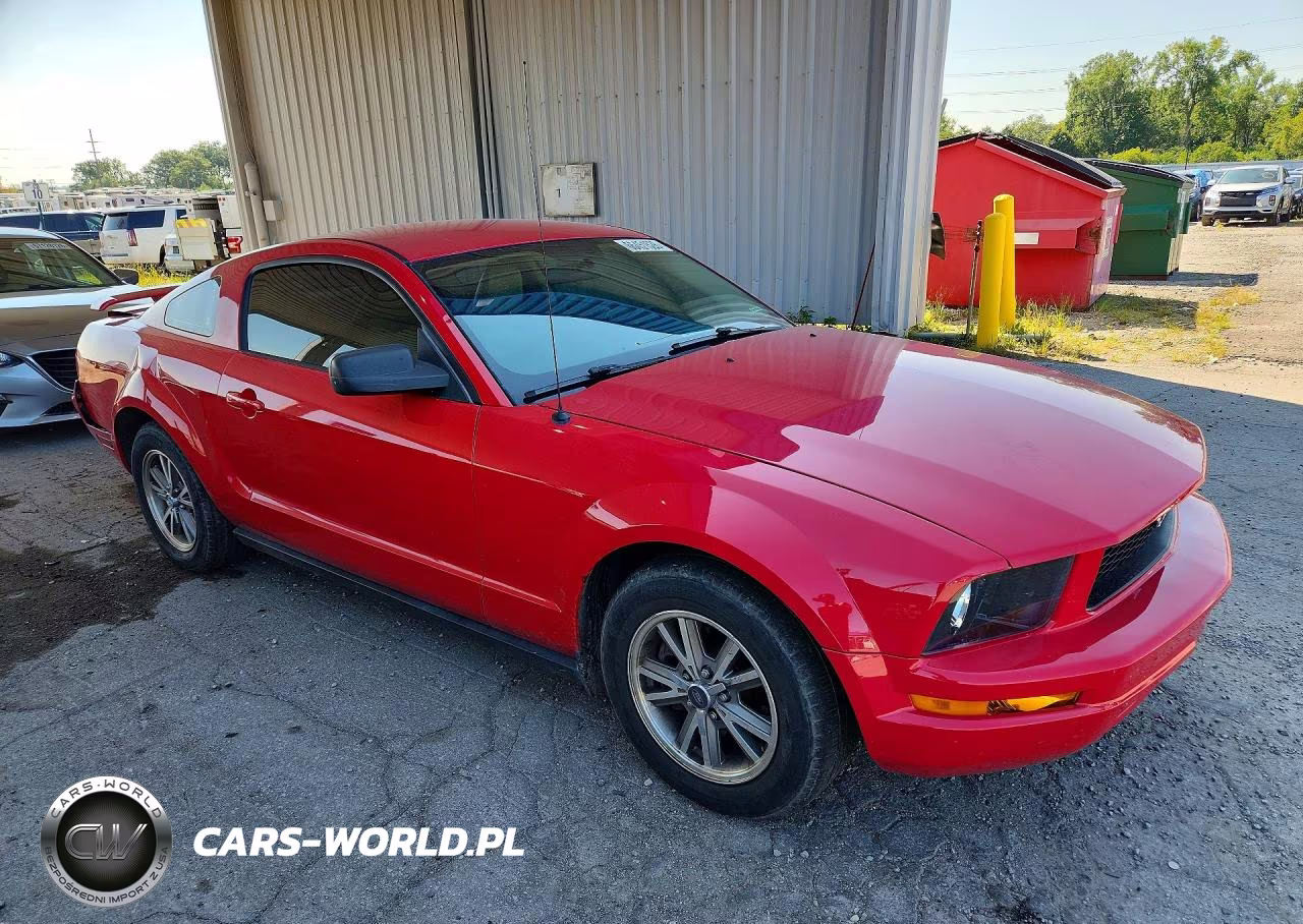 2005 Ford Mustang VIN:1ZVFT80N355250531 - 4