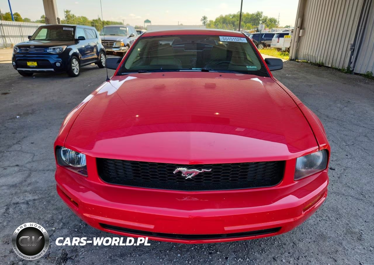 2005 Ford Mustang VIN:1ZVFT80N355250531 - 5