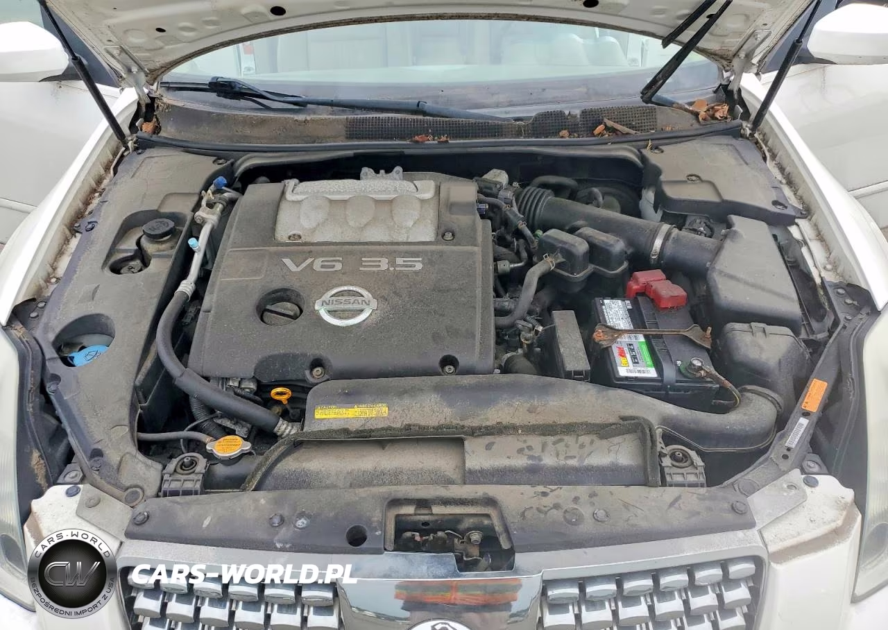 2004 Nissan Maxima 3.5 Se VIN:1N4BA41E54C889573 - 11