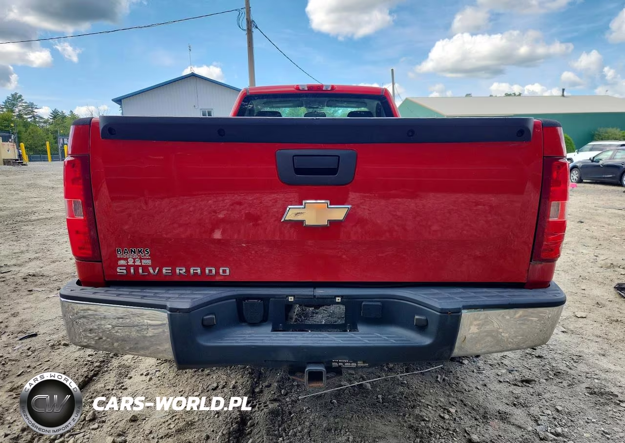 2009 Chevrolet Silverado K1500 VIN:1GCEK14XX9Z187303 - 6