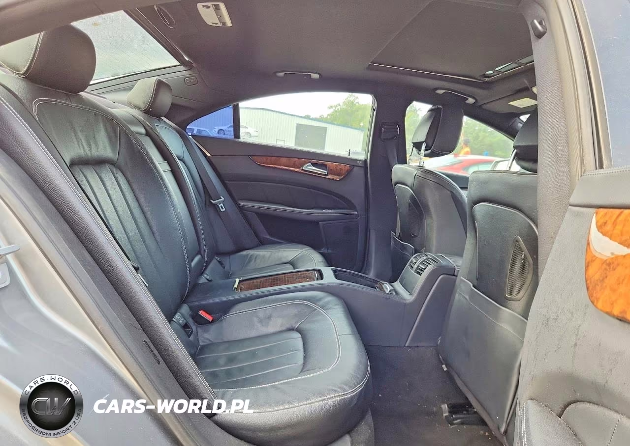 2013 Mercedes-Benz Cls 550 VIN:WDDLJ7DB3DA060116 - 10