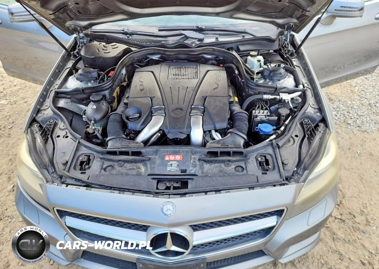 2013 Mercedes-Benz Cls 550 VIN:WDDLJ7DB3DA060116 - 11