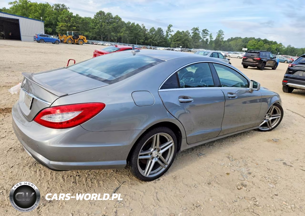 2013 Mercedes-Benz Cls 550 VIN:WDDLJ7DB3DA060116 - 3