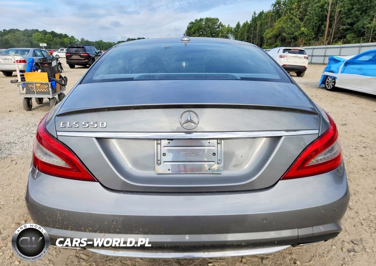2013 Mercedes-Benz Cls 550 VIN:WDDLJ7DB3DA060116 - 6
