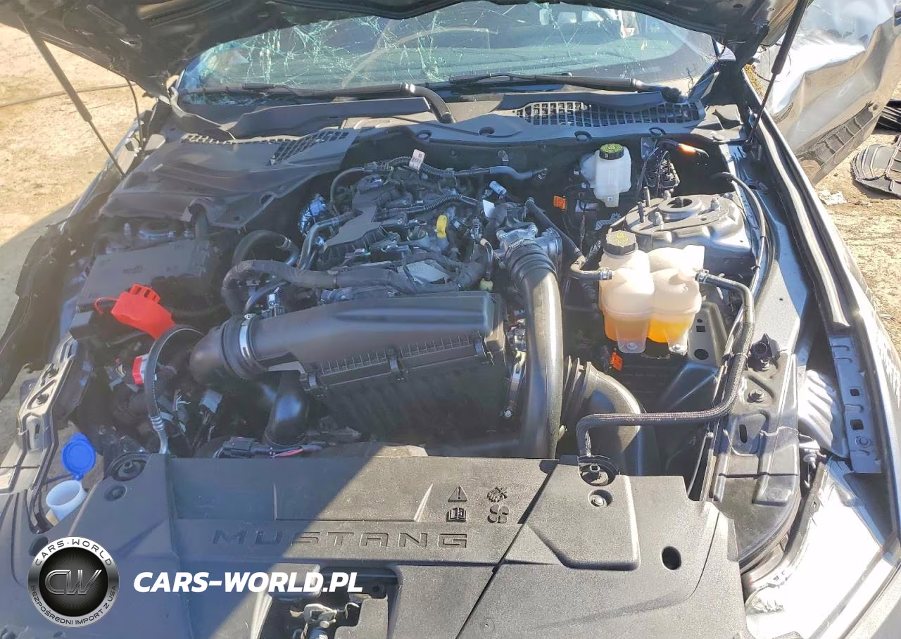 2026 Ford Mustang VIN:1FA6P8TH1T5104239 - 11