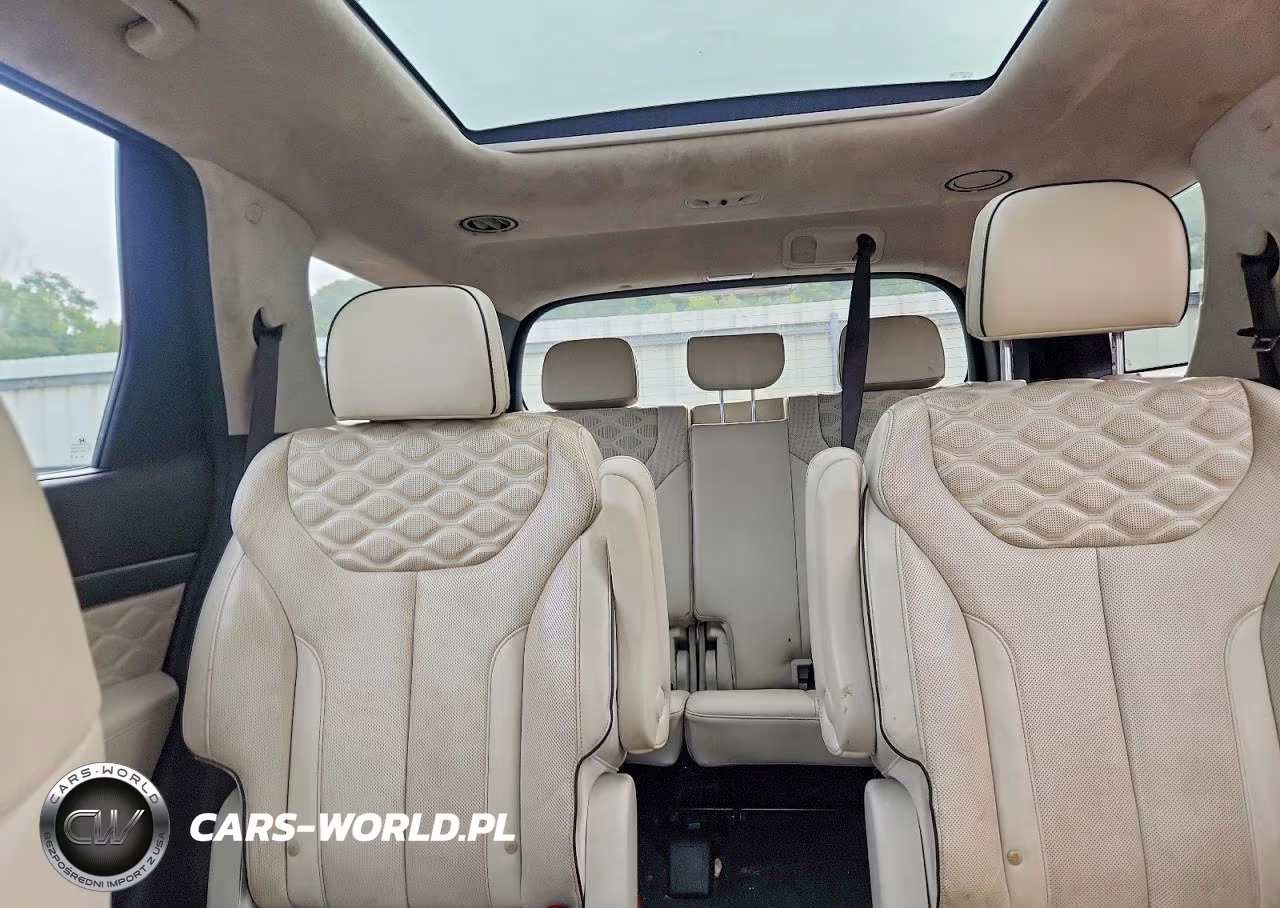 2020 Hyundai Palisade Limited VIN:KM8R5DHE4LU125043 - 10