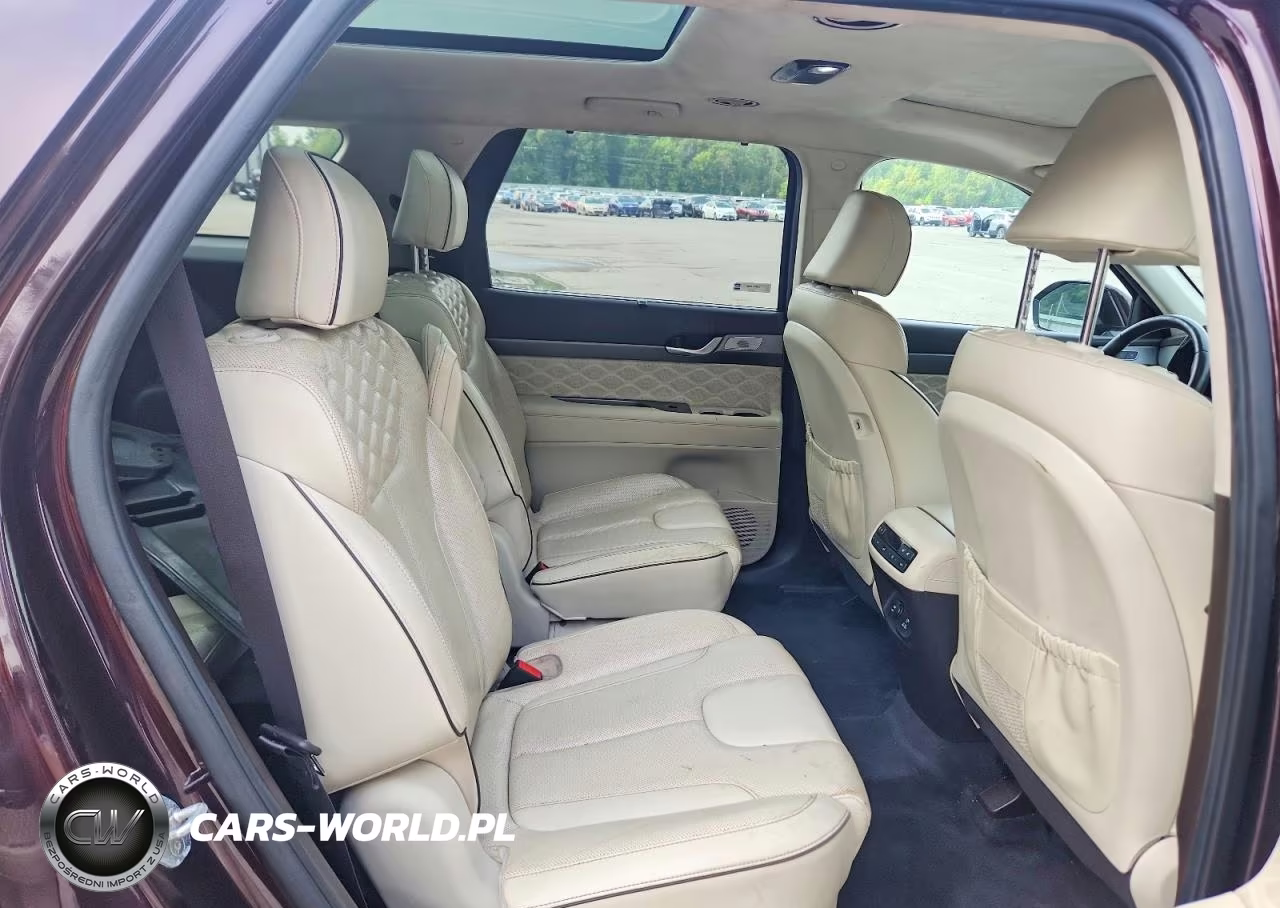 2020 Hyundai Palisade Limited VIN:KM8R5DHE4LU125043 - 11