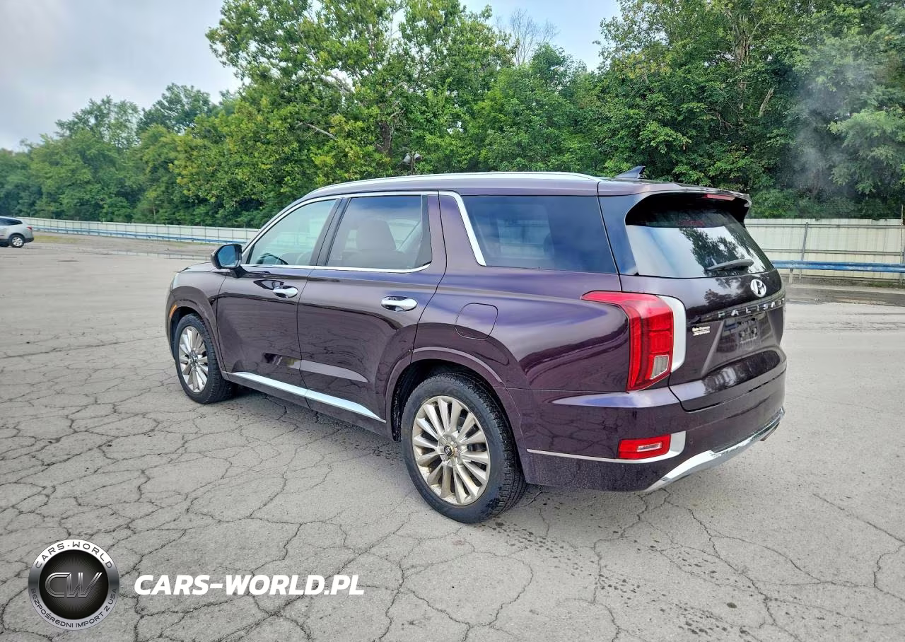 2020 Hyundai Palisade Limited VIN:KM8R5DHE4LU125043 - 2