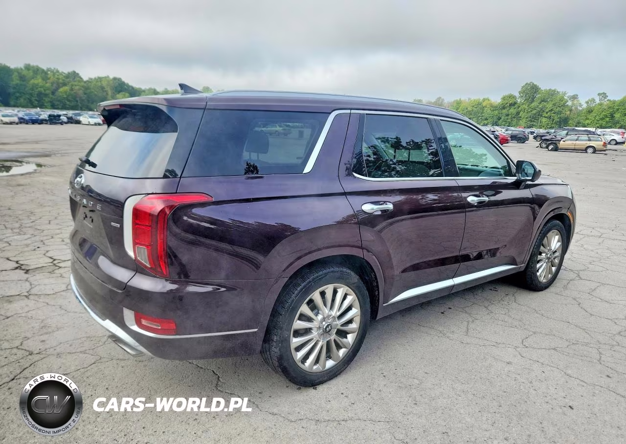 2020 Hyundai Palisade Limited VIN:KM8R5DHE4LU125043 - 3