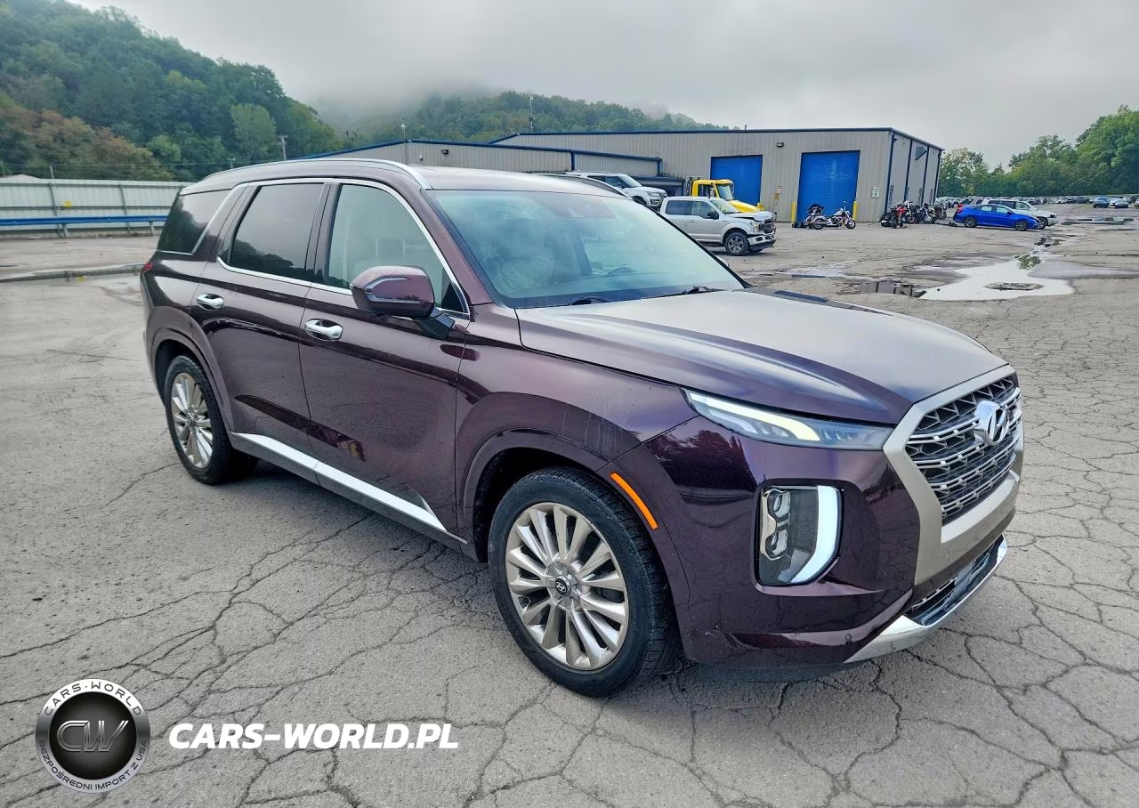 2020 Hyundai Palisade Limited VIN:KM8R5DHE4LU125043 - 4