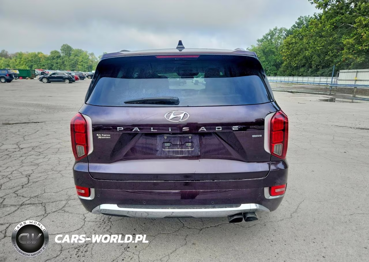 2020 Hyundai Palisade Limited VIN:KM8R5DHE4LU125043 - 6