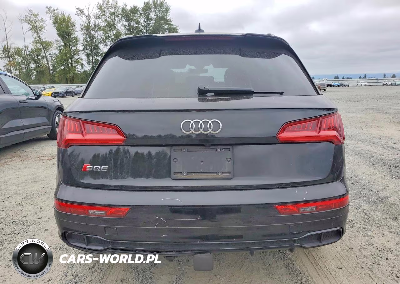 2020 Audi Sq5 Premium Plus VIN:WA1B4AFY2L2009382 - 6