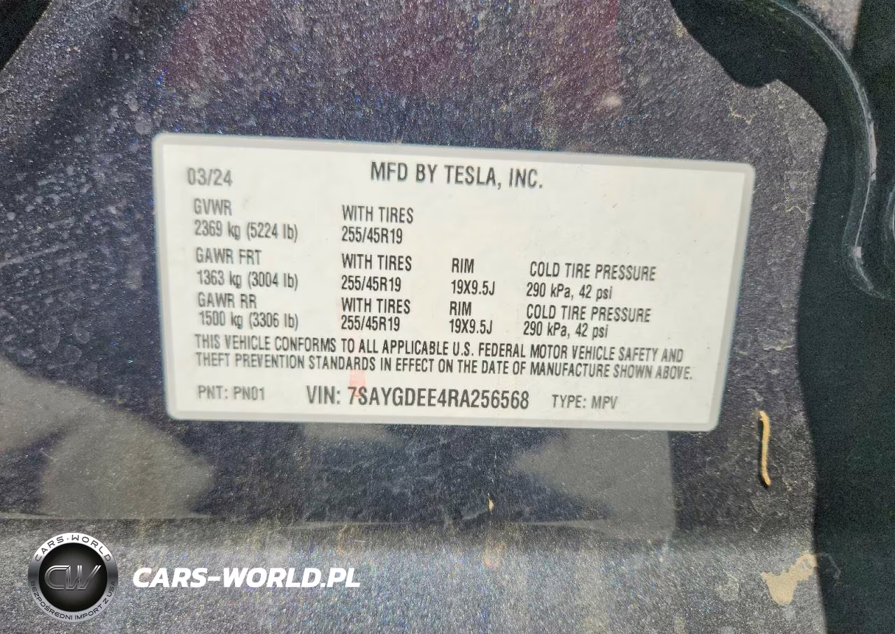 2024 Tesla Model Y VIN:7SAYGDEE4RA256568 - 12