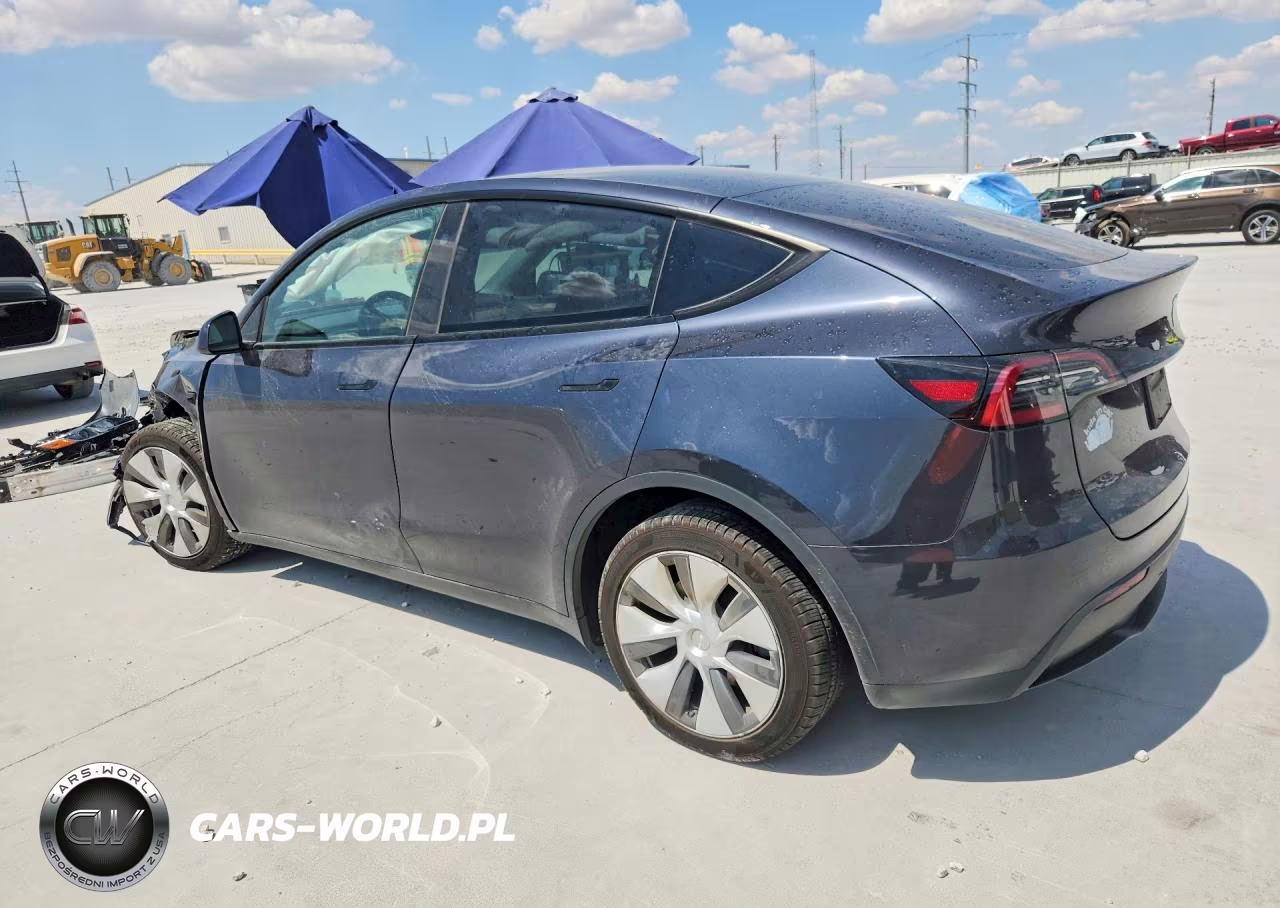 2024 Tesla Model Y VIN:7SAYGDEE4RA256568 - 2