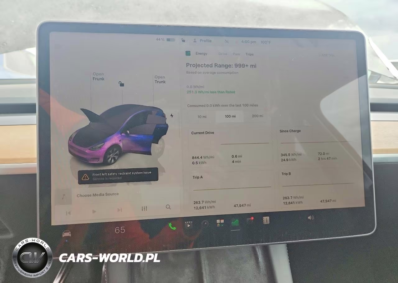 2024 Tesla Model Y VIN:7SAYGDEE4RA256568 - 9