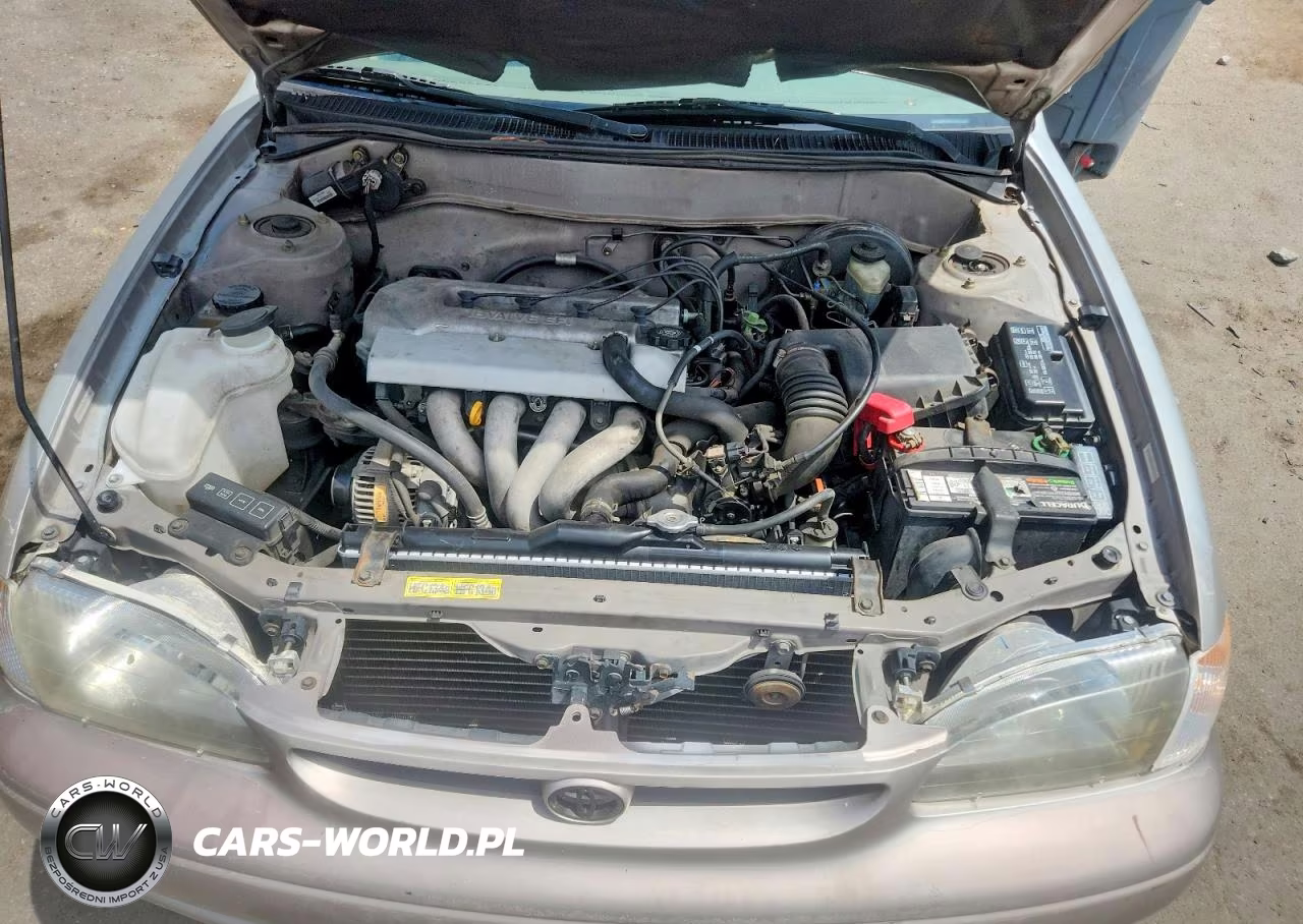 1999 Toyota Corolla Ve VIN:1NXBR12E2XZ287868 - 11