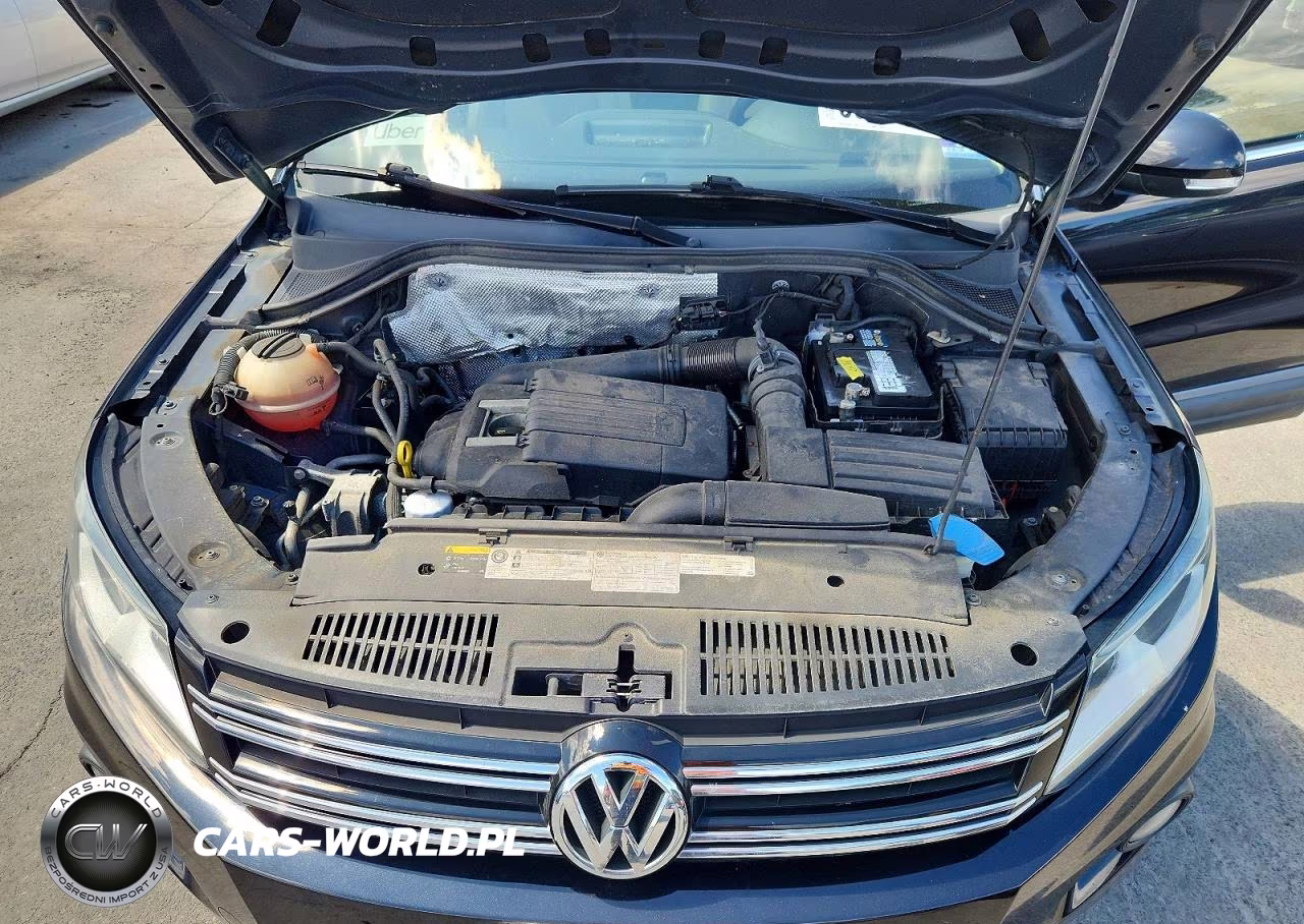 2014 Volkswagen Tiguan S VIN:WVGAV3AX1EW545885 - 11