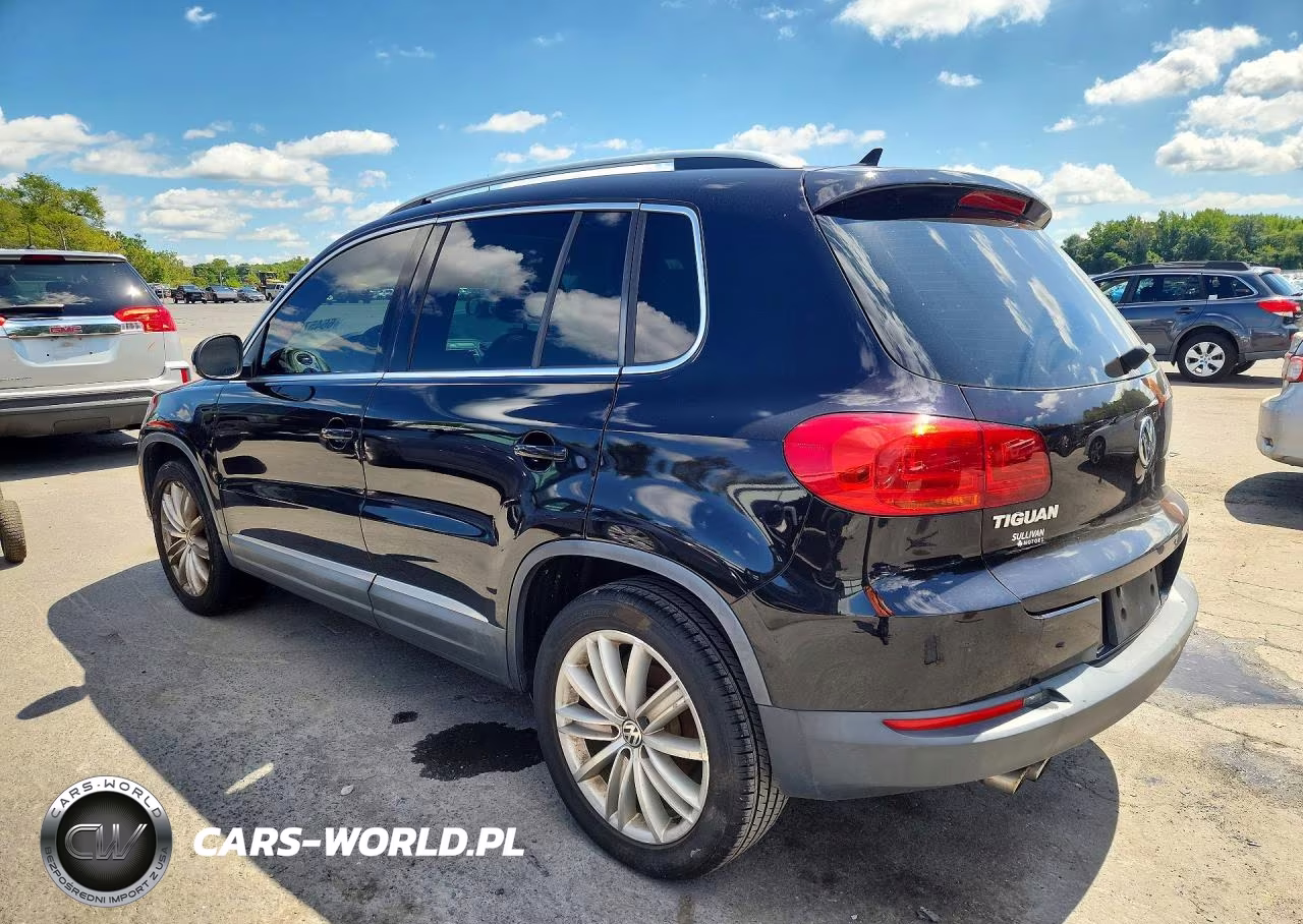 2014 Volkswagen Tiguan S VIN:WVGAV3AX1EW545885 - 2