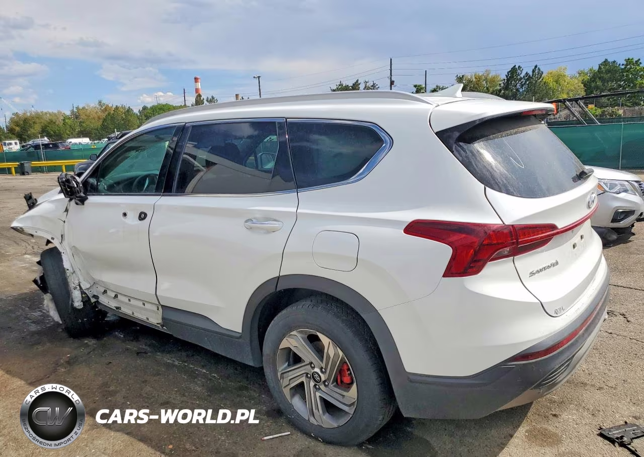 2023 Hyundai Santa Fe Sel VIN:5NMS2DAJ3PH539224 - 2