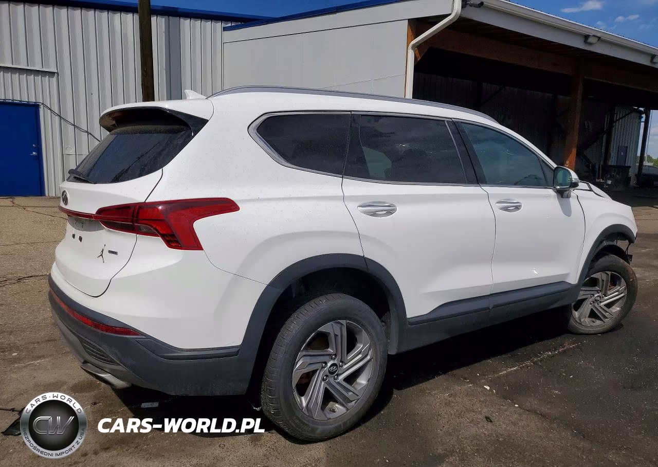 2023 Hyundai Santa Fe Sel VIN:5NMS2DAJ3PH539224 - 3