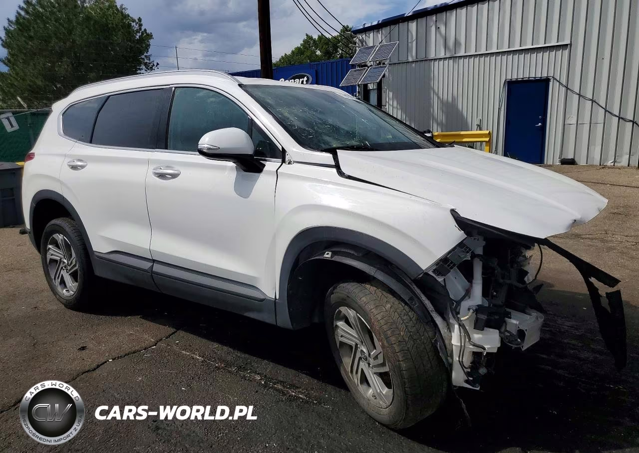 2023 Hyundai Santa Fe Sel VIN:5NMS2DAJ3PH539224 - 4