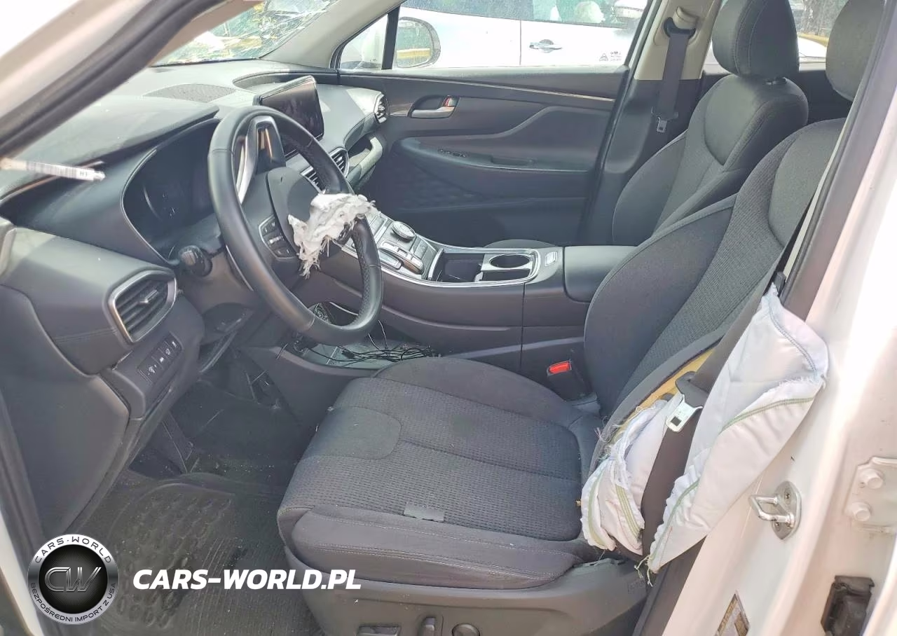 2023 Hyundai Santa Fe Sel VIN:5NMS2DAJ3PH539224 - 7