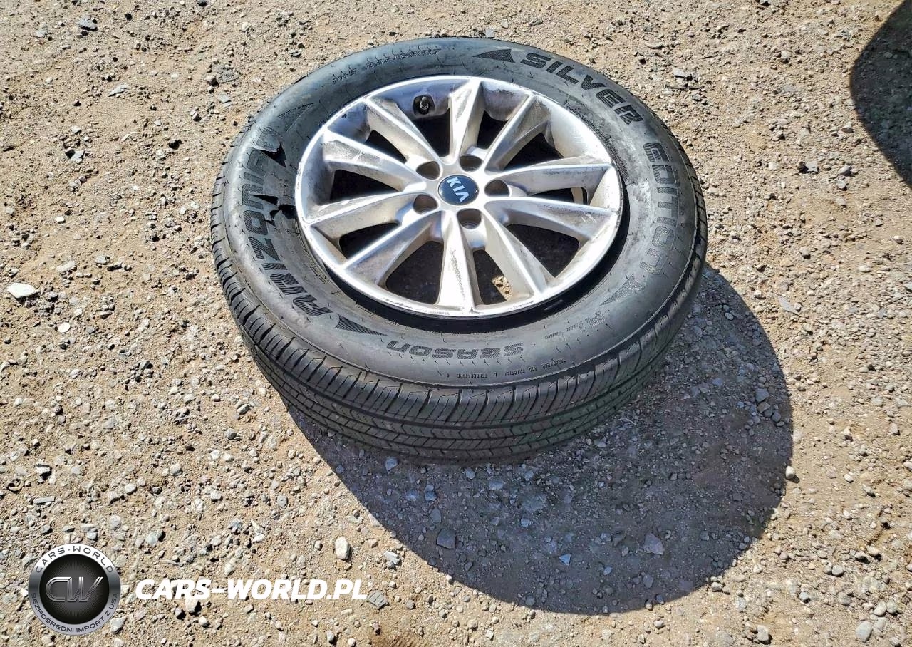 2019 Kia Sorento L VIN:5XYPG4A37KG586753 - 12