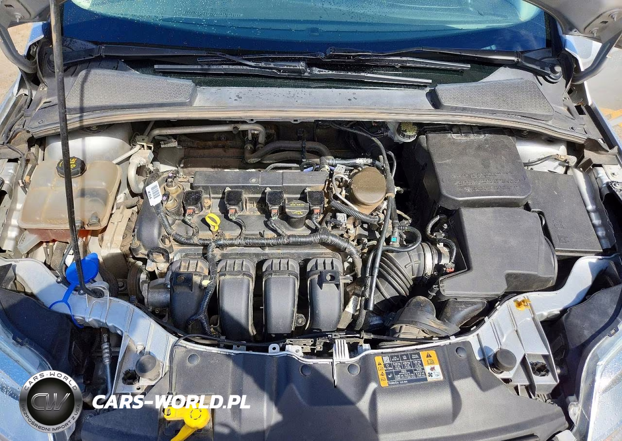 2014 Ford Focus Se VIN:1FADP3K23EL271983 - 11