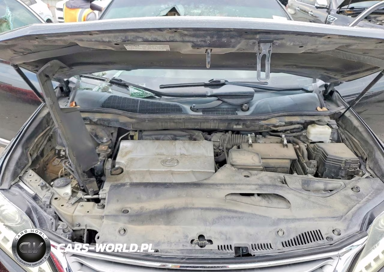 2015 Lexus Rx 350 Base VIN:2T2BK1BA7FC263580 - 12