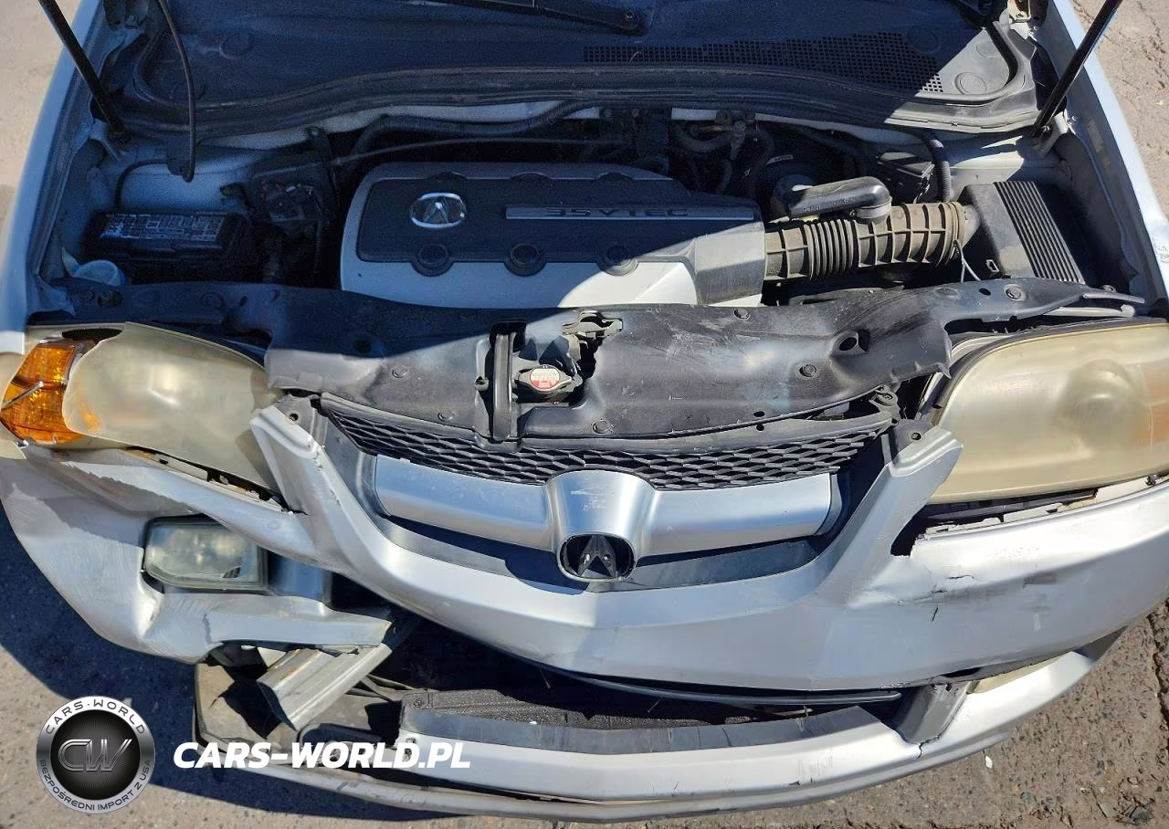 2004 Acura Mdx Touring VIN:2HNYD18844H523413 - 12