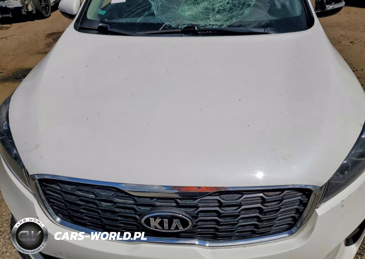 2020 Kia Sorento Lx VIN:5XYPG4A33LG686754 - 12