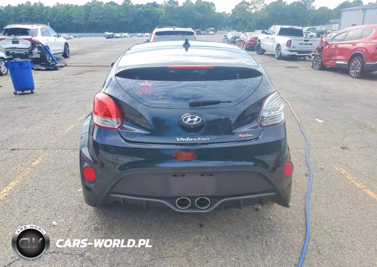2016 Hyundai Veloster Turbo VIN:KMHTC6AE7GU282041 - 6