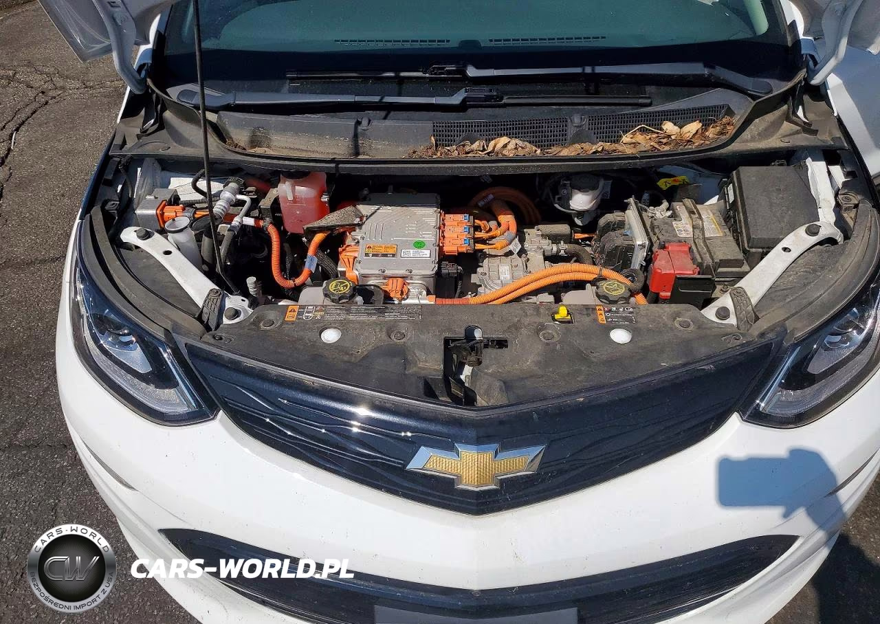2020 Chevrolet Bolt Ev Premier VIN:1G1FZ6S02L4142081 - 11