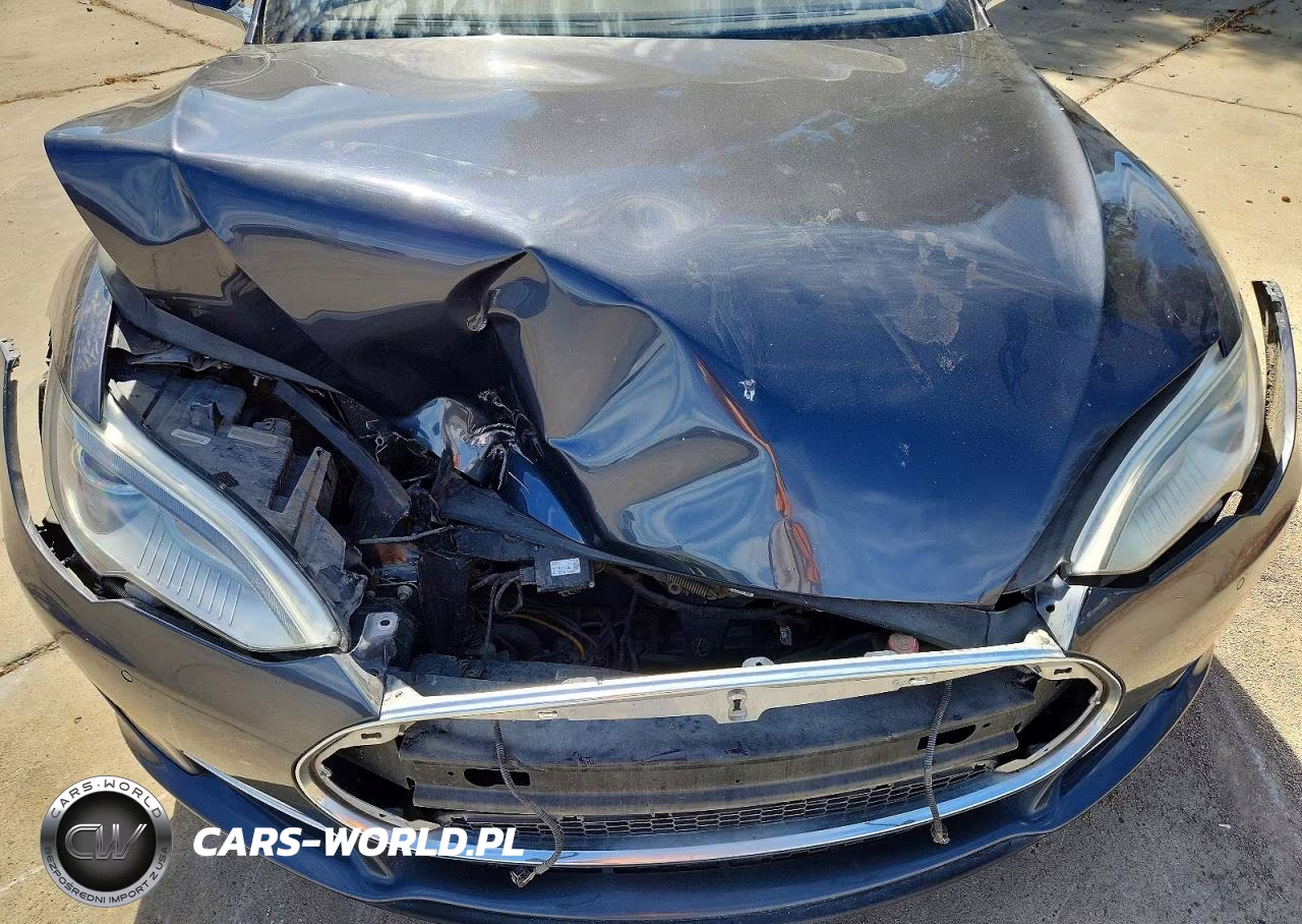 2015 Tesla Model S 85D VIN:5YJSA1H28FFP73309 - 11
