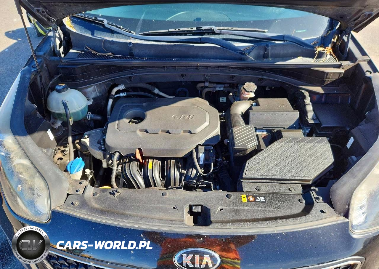 2017 Kia Sportage Lx VIN:KNDPM3AC4H7049735 - 12