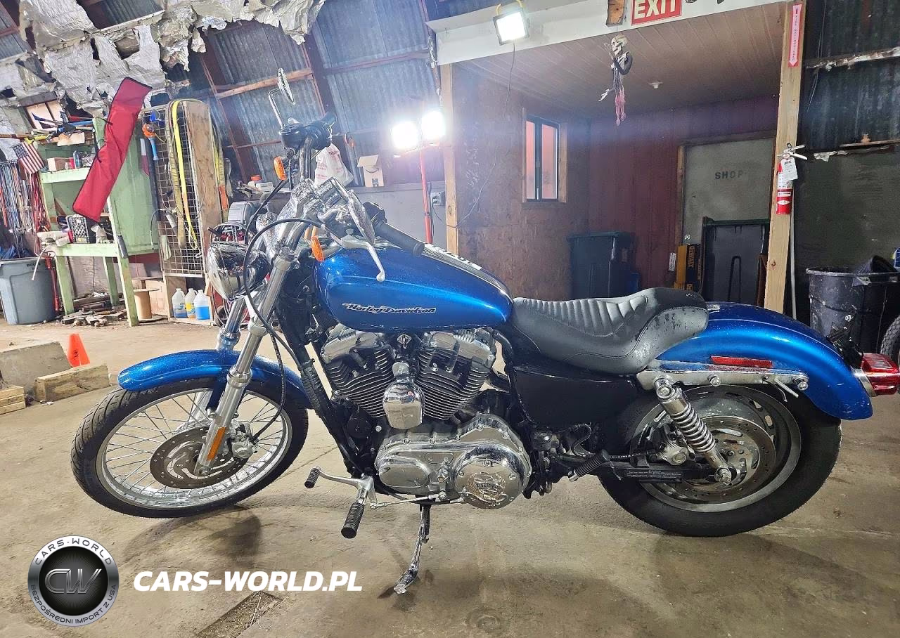 2005 Harley-Davidson Xl1200 C VIN:1HD1CGP1X5K403397 - 3