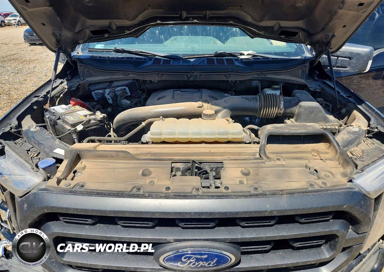 2021 Ford F150 Supercrew VIN:1FTFW1E89MKE41360 - 11