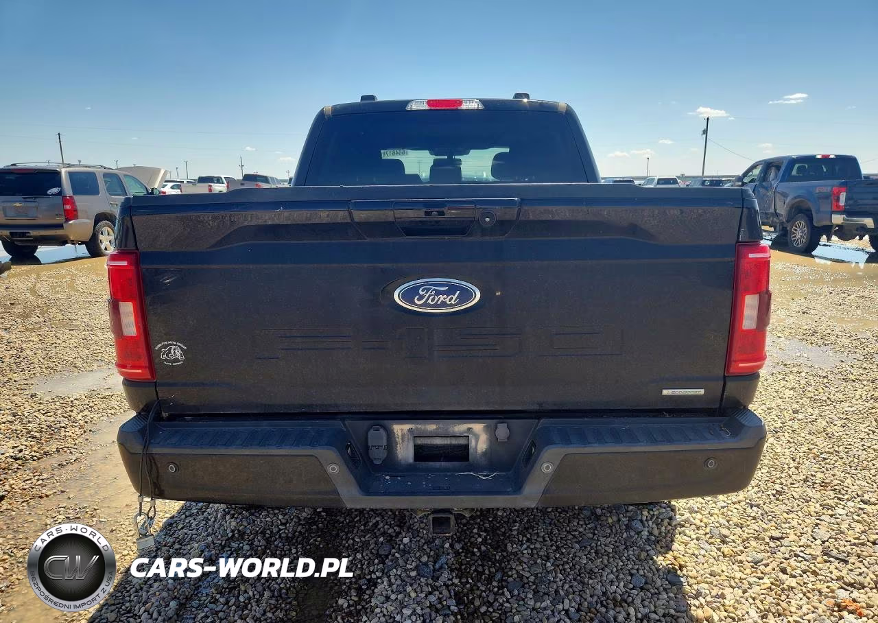 2021 Ford F150 Supercrew VIN:1FTFW1E89MKE41360 - 6