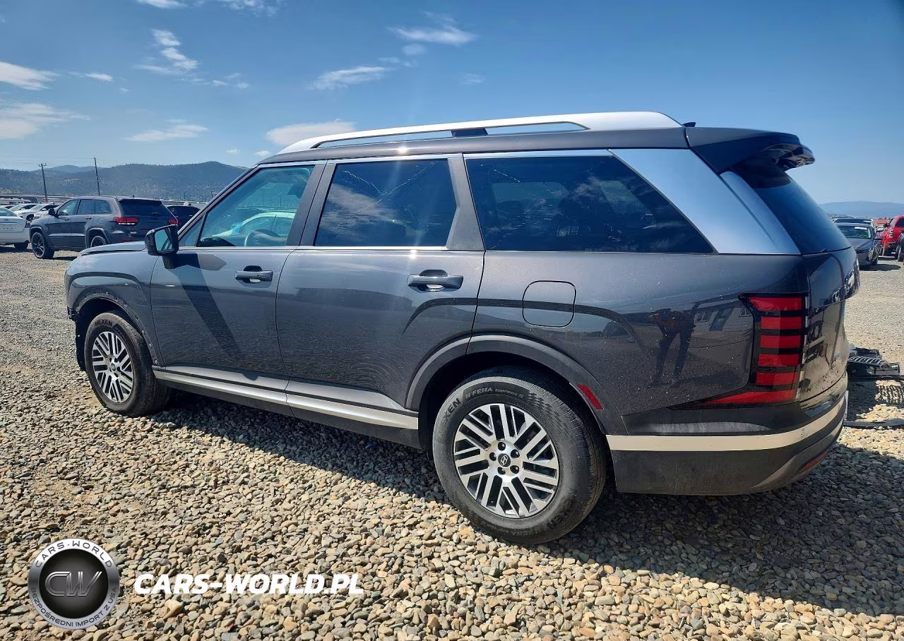 2026 Hyundai Palisade Sel VIN:KM8RL5S25TU060035 - 2
