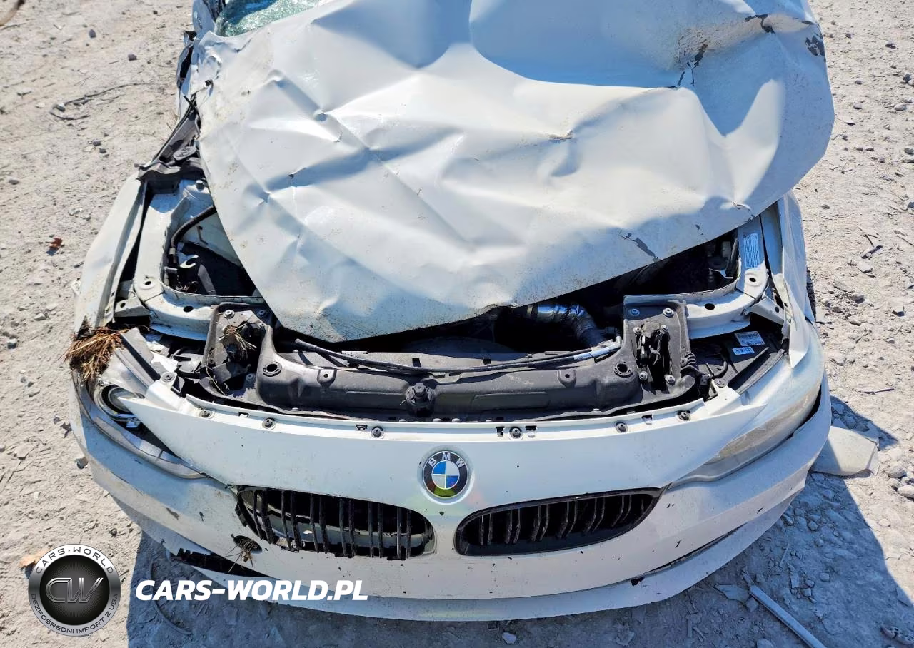 2015 BMW 435 Xi VIN:WBA3R5C55FK370751 - 11