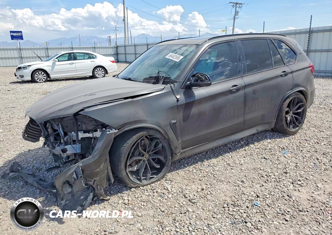 2014 BMW X5 xDrive35I – zdjęcie 1 z 12