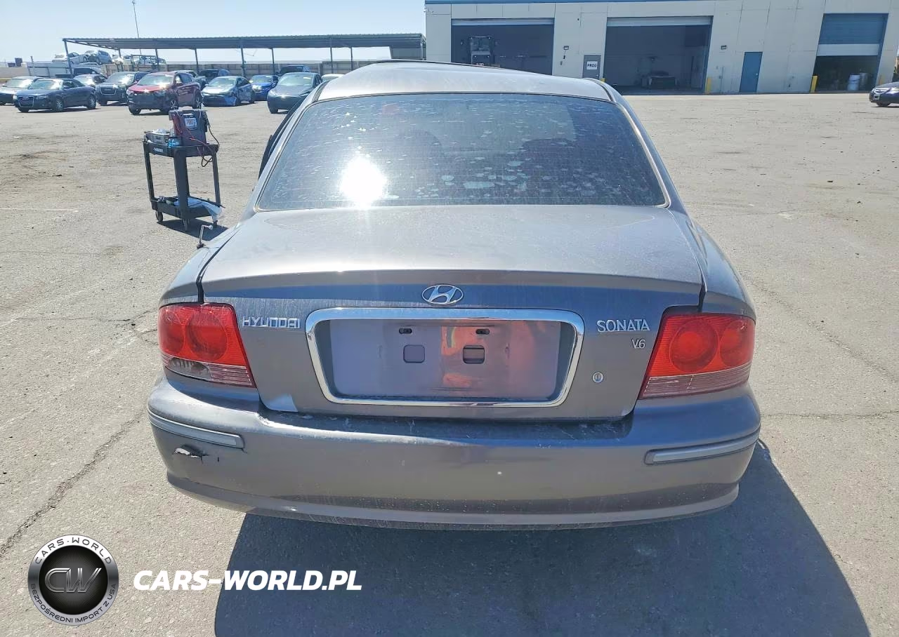 2004 Hyundai Sonata Gls VIN:KMHWF35H54A938970 - 6